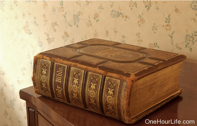 宗教纪录片《圣经之谜 Riddles of the Bible》