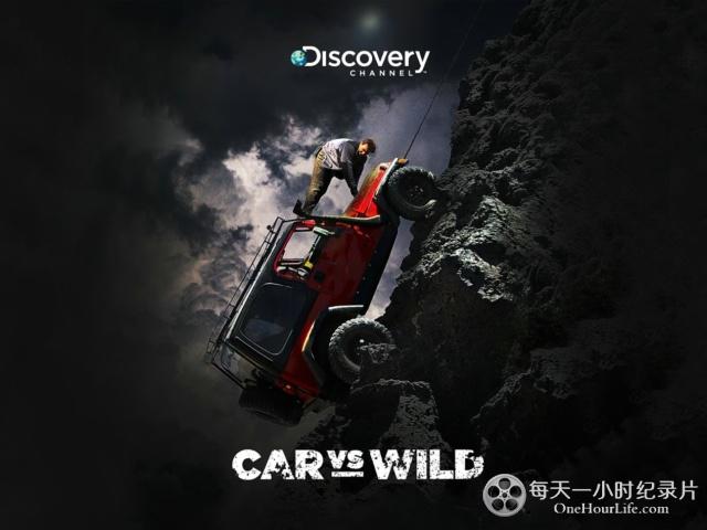 Car Vs Wild