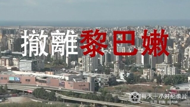 冷暖人生《撤离黎巴嫩 2024》