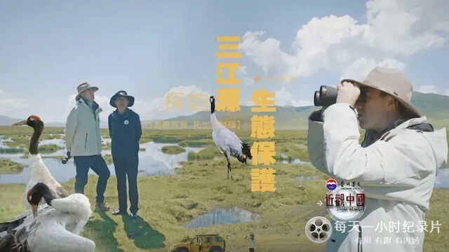 近观中国《探访三江源生态保护 2024》